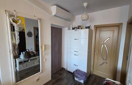 Apartament cu 2 camere - Open Space, 55 mp, zona Ford