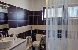 Apartament cu 2 camere - Open Space, 55 mp, zona Ford