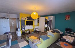 Apartament cu 2 camere - Open Space, 55 mp, zona Ford