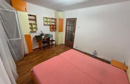 Apartament 3 camere, George Enescu, zona Carrefur