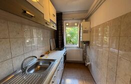 Apartament de 2 camere, parter, PET FRIENDLY, Craiovita Noua