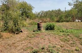 Casa renovabila/demolabila cu 2300 mp teren, Varvor/Bujoru