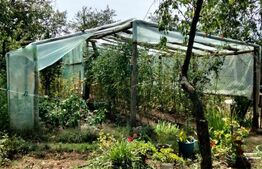 Casa renovabila/demolabila cu 2300 mp teren, Varvor/Bujoru