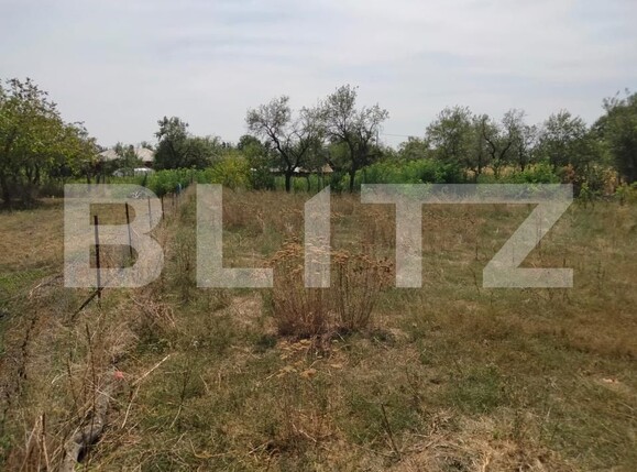 Casa de vânzare 4 camere Exterior Sud - 176553CV | BLITZ Craiova | Poza6