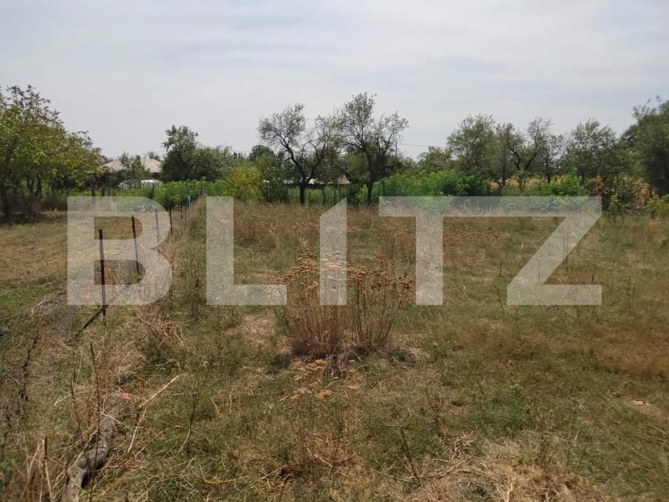 Casa de vânzare 4 camere Varvor - 176553CV | BLITZ Craiova | Poza6