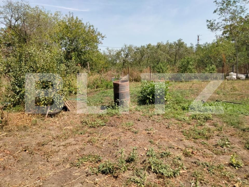 Casa de vânzare 4 camere Varvor - 176553CV | BLITZ Craiova | Poza4