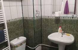 Garsoniera 41 mp + 24 mp curte, mobilata, parter, Gradina Botanica