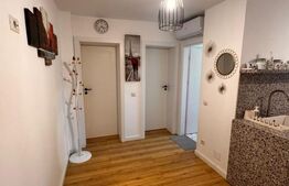 Apartament cu 2 camere, 1 Mai Insula