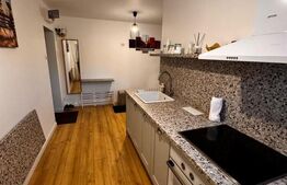 Apartament cu 2 camere, 1 Mai Insula