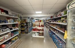 Spațiu comercial parter bloc renovat 118 mp, Lăpuș, zona Electroputere