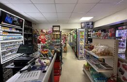 Spațiu comercial parter bloc renovat 118 mp, Lăpuș, zona Electroputere