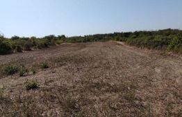 Teren intravilan, 2104 mp, zona Carcea Profi, deschidere 13.85m, 2 fronturi, P+2