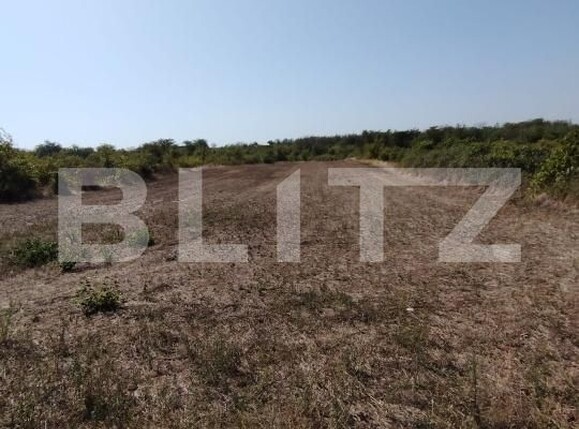 Teren de vânzare Exterior Est - 176769TV | BLITZ Craiova | Poza2