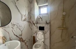 Casa P+1 cu design deosebit, zona Ford