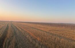 Teren extravilan, 5000 mp, zona Malu Mare