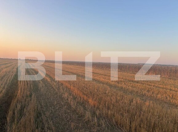 Teren de vânzare Malu Mare - 176775TV | BLITZ Craiova | Poza1