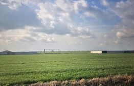 Teren intravilan, 500 mp, zona Simode Peugeot, Pielesti, posibilitate rate