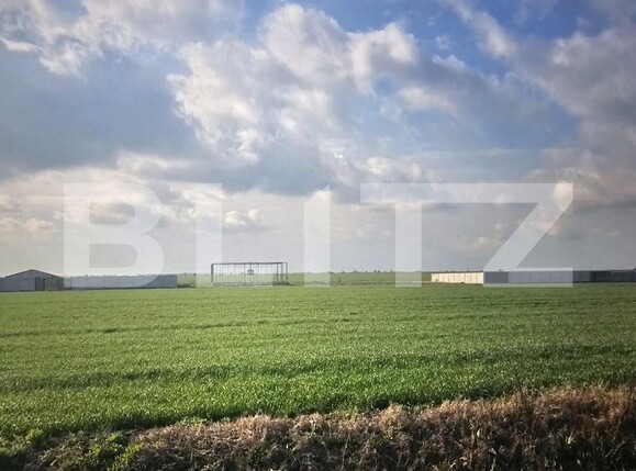 Teren de vânzare Pielești - 176776TV | BLITZ Craiova | Poza1