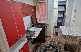 Garsoniera 40 mp, Zona Rovine