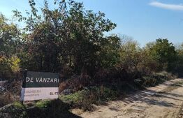 Teren intravilan, 1800 mp, zona Carcea Profi, P+2, deschidere 21.47 m