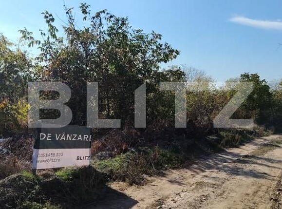 Teren de vânzare Carcea  - 176883TV | BLITZ Craiova | Poza1