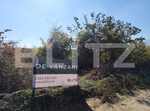 Teren de vânzare Carcea  - 176883TV | BLITZ Craiova | Poza2