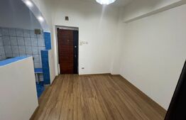 Camera de camin la vanzare