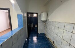 Camera de camin la vanzare