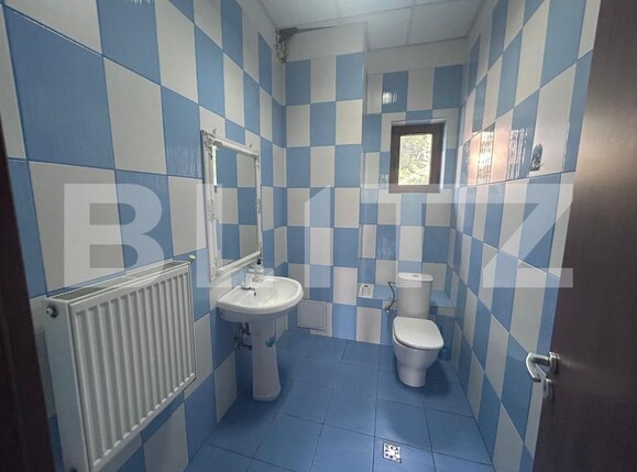 Spațiu comercial de închiriat Brestei - 176909SIC | BLITZ Craiova | Poza5