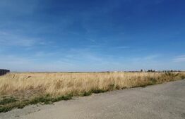 Teren intravilan, 502 mp, la intrarea in sat Ghercesti