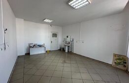 Imobil de inchiriat, 329 mp, Centru Vechi - 12 camere 