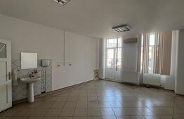 Imobil de inchiriat, 329 mp, Centru Vechi - 12 camere 