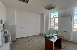 Imobil de inchiriat, 329 mp, Centru Vechi - 12 camere 
