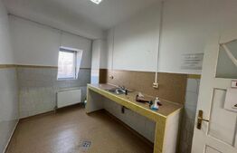 Imobil de inchiriat, 329 mp, Centru Vechi - 12 camere 