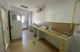 Imobil de inchiriat, 329 mp, Centru Vechi - 12 camere 