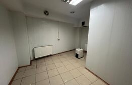 Imobil de inchiriat, 329 mp, Centru Vechi - 12 camere 