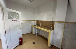 Imobil de inchiriat, 329 mp, Centru Vechi - 12 camere 