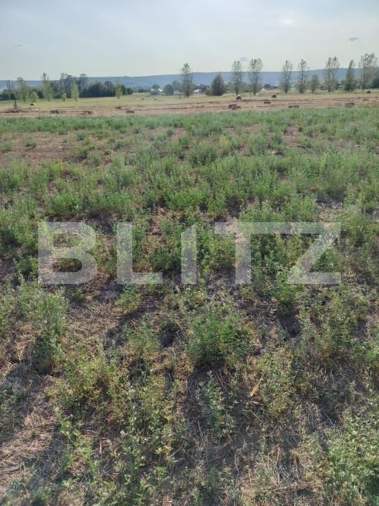 Teren de vânzare Simnicu de Sus  - 177074TV | BLITZ Craiova | Poza4