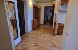 Apartament 2 camere, decomandat, cartierul Rovine, zona gradinița Luceafărul