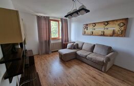 Apartament 2 camere, decomandat, cartierul Rovine, zona gradinița Luceafărul