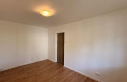 Apartament 3 camere renovat, parter, CT, Rovine - zona Petre Ispirescu