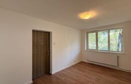 Apartament 3 camere renovat, parter, CT, Rovine - zona Petre Ispirescu