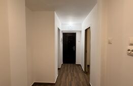 Apartament 3 camere renovat, parter, CT, Rovine - zona Petre Ispirescu