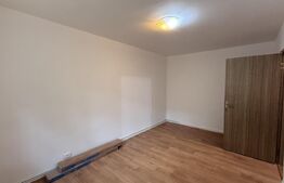 Apartament 3 camere renovat, parter, CT, Rovine - zona Petre Ispirescu