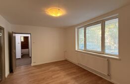 Apartament 3 camere renovat, parter, CT, Rovine - zona Petre Ispirescu