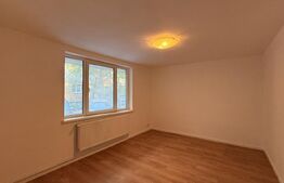 Apartament 3 camere renovat, parter, CT, Rovine - zona Petre Ispirescu