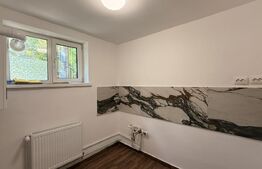 Apartament 3 camere renovat, parter, CT, Rovine - zona Petre Ispirescu