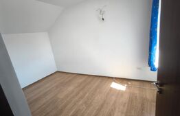 Casa cocheta, P+M, 160 mpc si 287 mp teren, bilaterala, cartier Bariera Valcii 