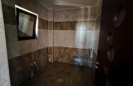 Casa cocheta, P+M, 160 mpc si 287 mp teren, bilaterala, cartier Bariera Valcii 