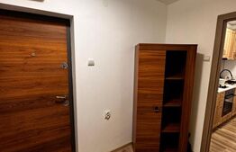 Apartament 2 camere semidecomandat, etaj 1 , zona Curtea de Apel 